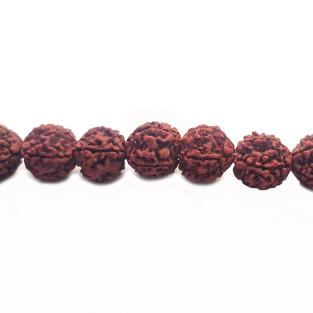 Rudra-16mm