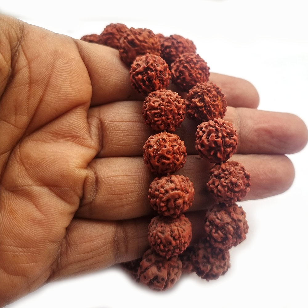 Rudra-16mma